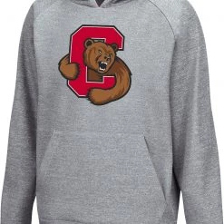 Colosseum Youth Cornell Big Red Grey Pullover Hoodie For Boys'