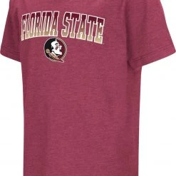 Colosseum Youth Florida State Seminoles Garnet Dual Blend T-Shirt For Boys'