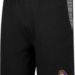 Colosseum Men's East Carolina Pirates Black Thunder Fleece Shorts