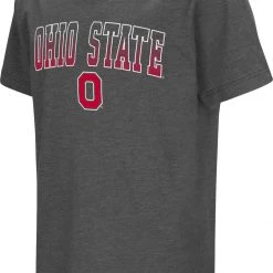 Colosseum Youth Ohio State Buckeyes Grey Dual Blend T-Shirt For Boys'