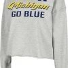 Colosseum Women's Michigan Wolverines Grey Treehouse Cropped Pullover Hoodie