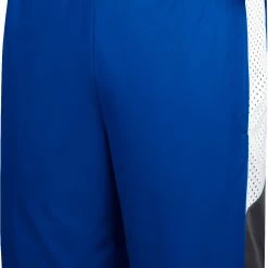 Colosseum Men's Duke Blue Devils Duke Blue Basketball Shorts