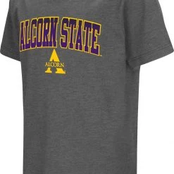 Colosseum Youth Alcorn State Braves Grey Dual Blend T-Shirt For Girls'