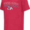 Colosseum Youth Fresno State Bulldogs Cardinal Playbook T-Shirt For Girls'