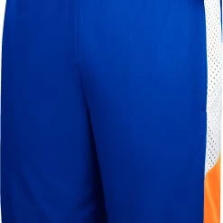 Colosseum Men's Florida Gators Blue Basketball Shorts
