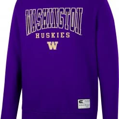 Colosseum Men's Washington Huskies Purple Scholarship Pullover Sweatshirt
